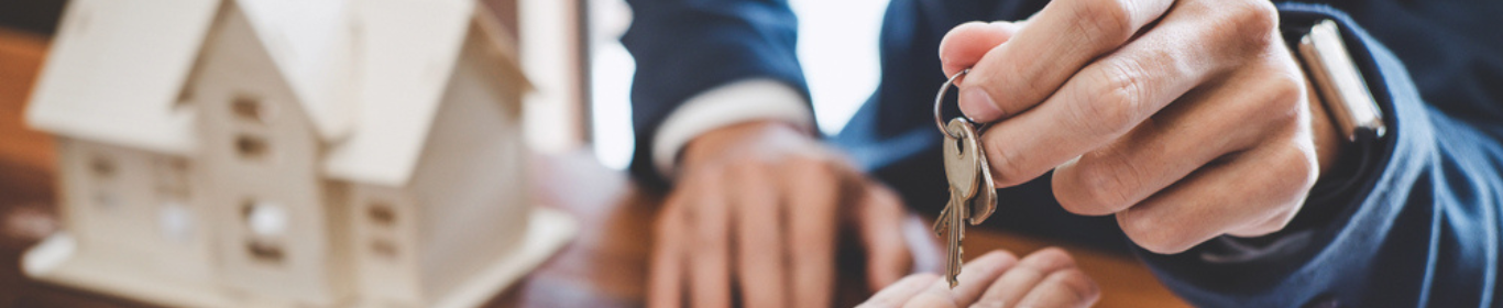 /uploaded/banner/18.png